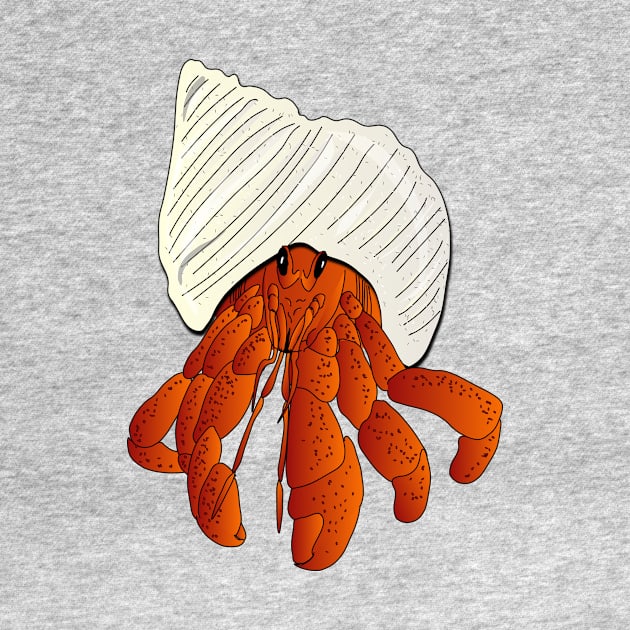 Hermit crab by FabuleusePlanete